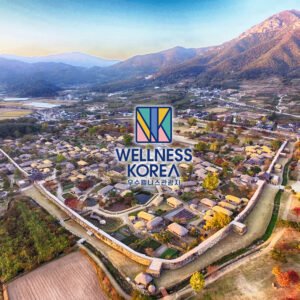 8 Days of Wellness and Beauty Journey to Korea